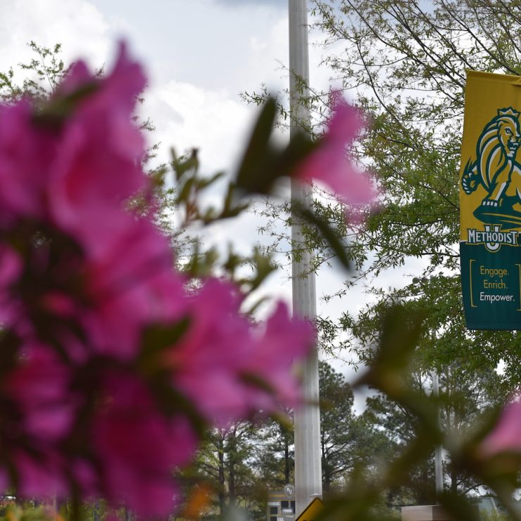 Flowers and MU banner