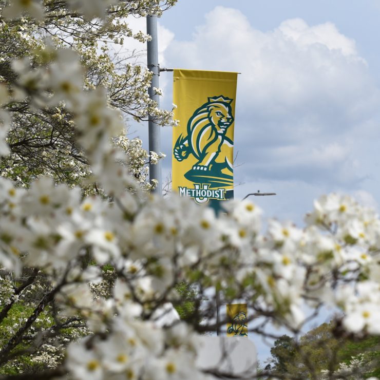 Trees with flowers in front of an MU banner