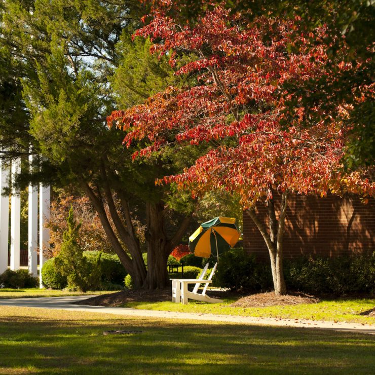 Fall colors at Methodist University campus