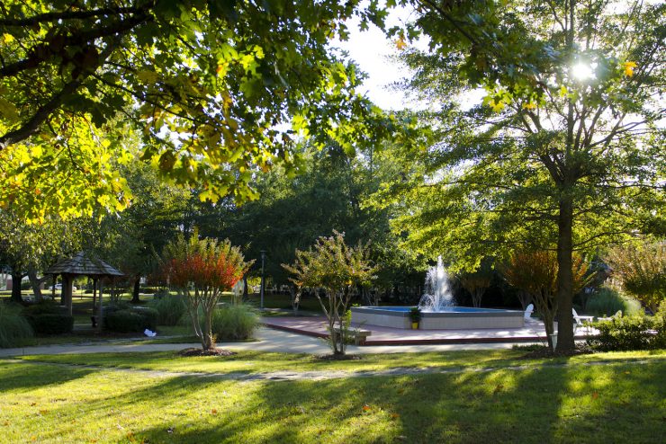 Green plants and trees at Methodist University campus