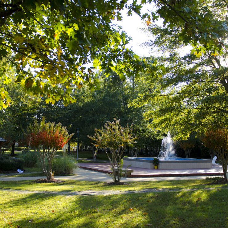 Green plants and trees at Methodist University campus