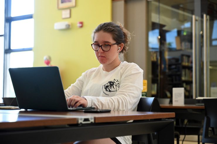 Student studying at a computer