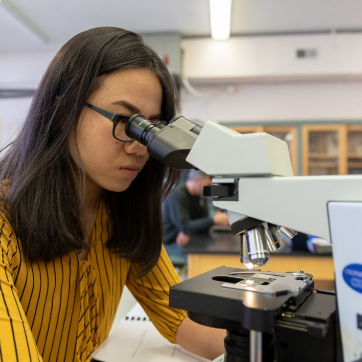 A student works in biology lab