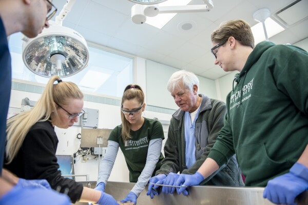 Physician Assistant Program students at work