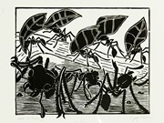"Ants Go Marchin'" by Jorge Luis Rivera