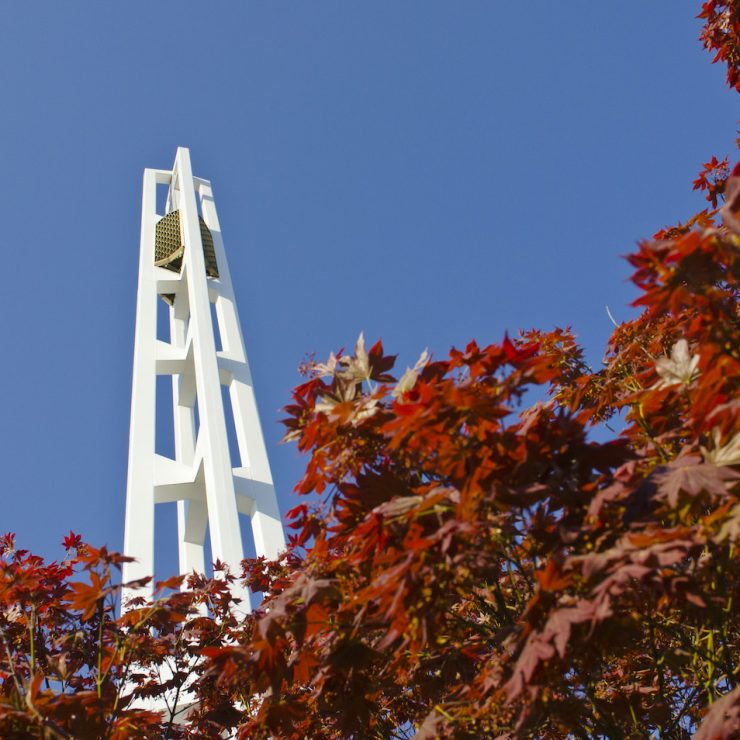 Fall leaves with the bell tower at Methodist University