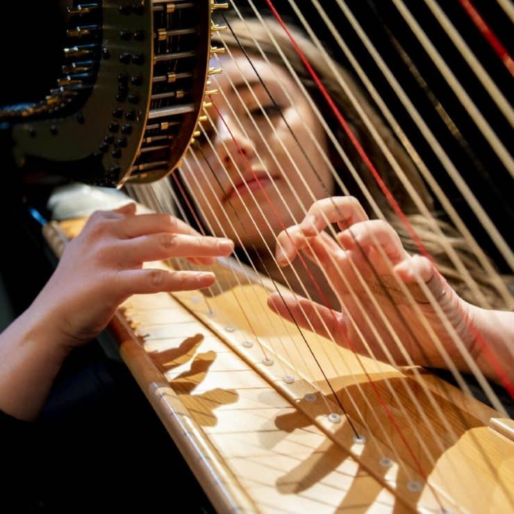 Harp performance in the Concert Band