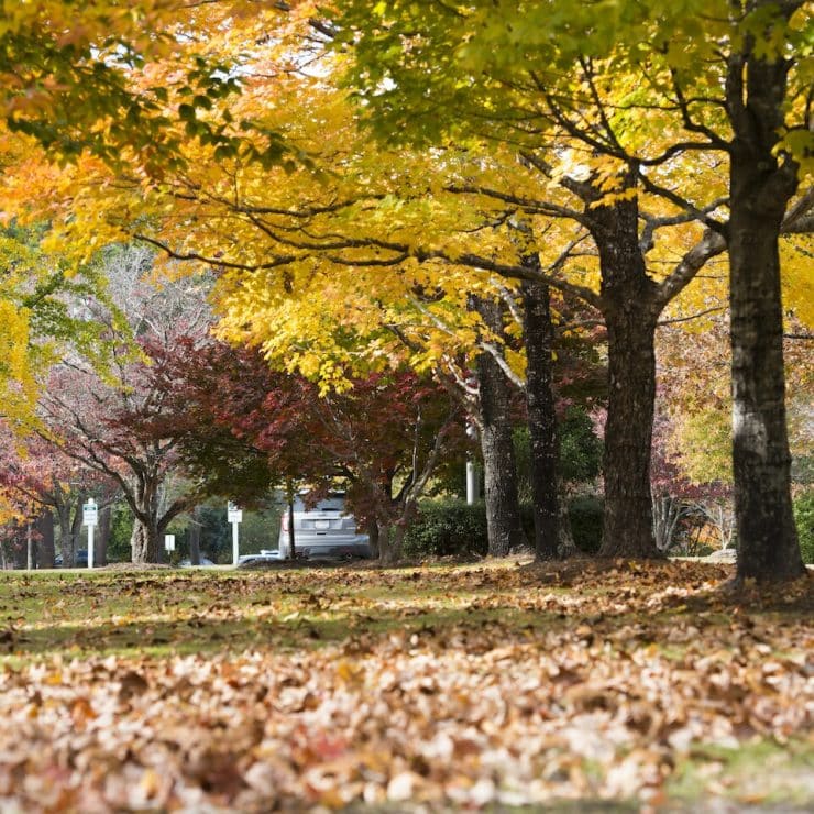 Cars in the parking lot at Methodist University during the fall