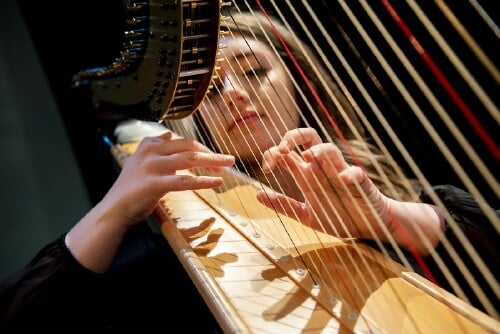 Harp performance in the Concert Band