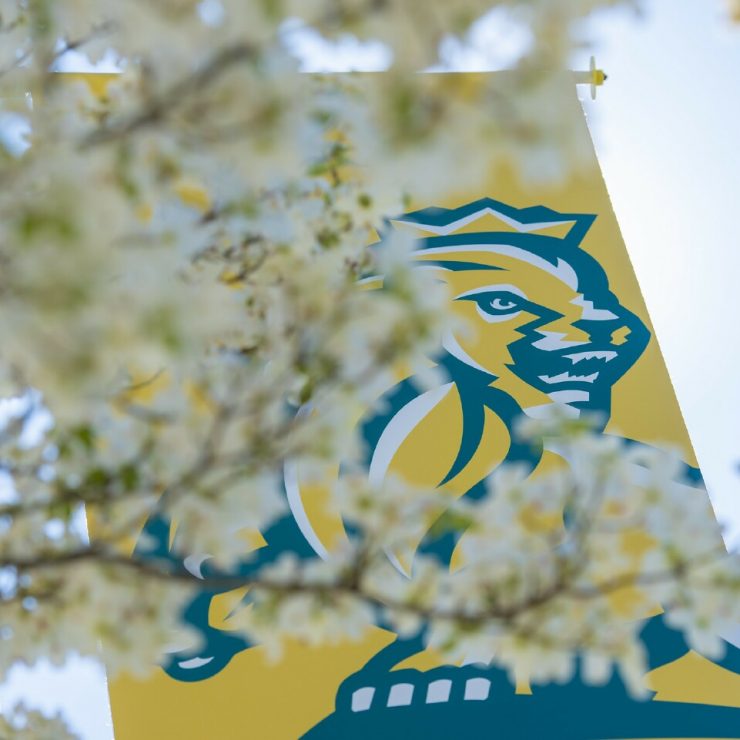 Methodist University banner