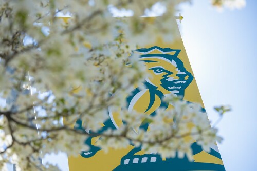 Methodist University banner