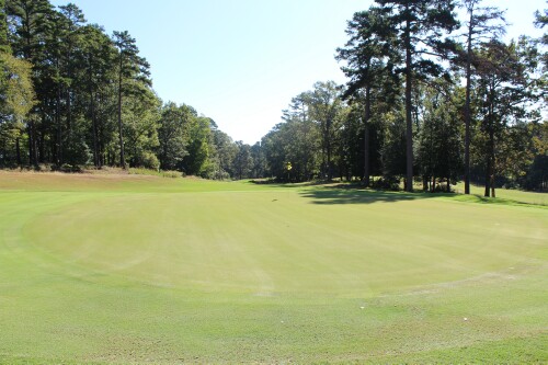 Methodist University Golf Course Hole #6 Green