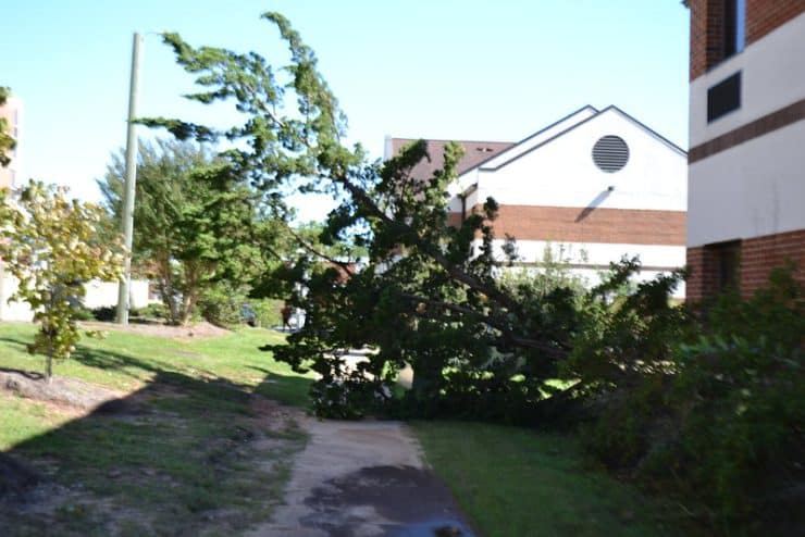 Aftermath of Hurricane Matthew