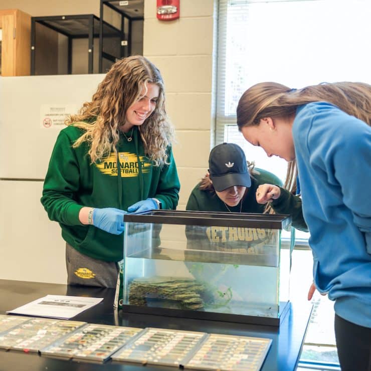 Methodist University Biology students gather together for a project.