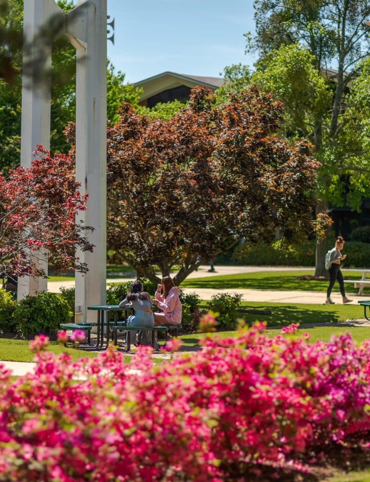 The Quad in bloom