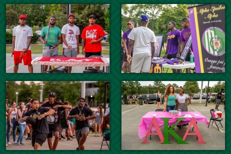 Divine Nine Fraternities and Sororities