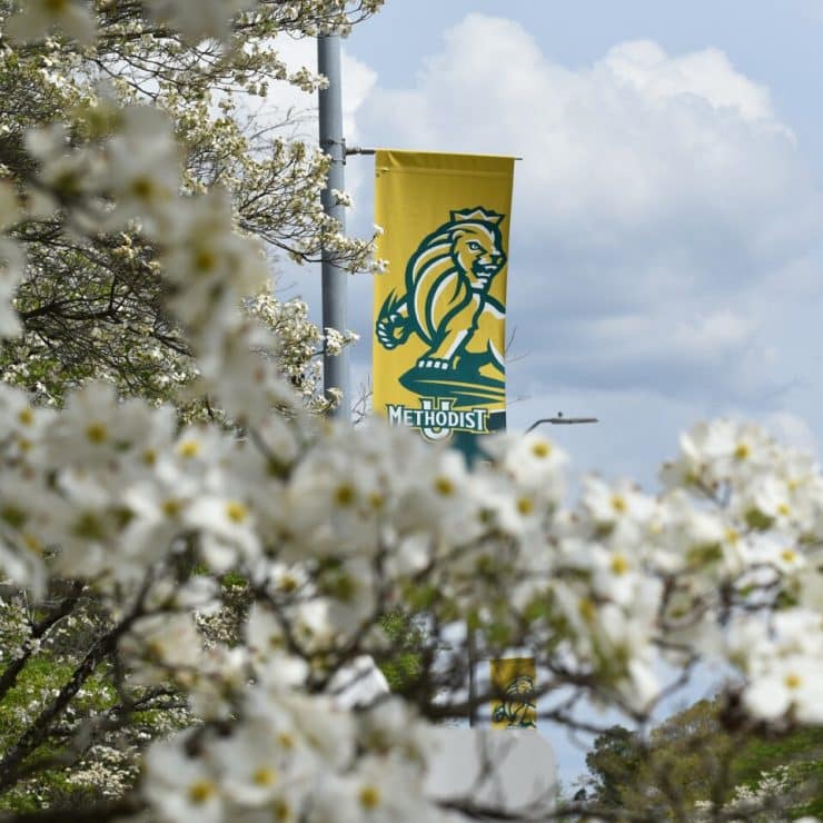 Blossoms on the Methodist University campus