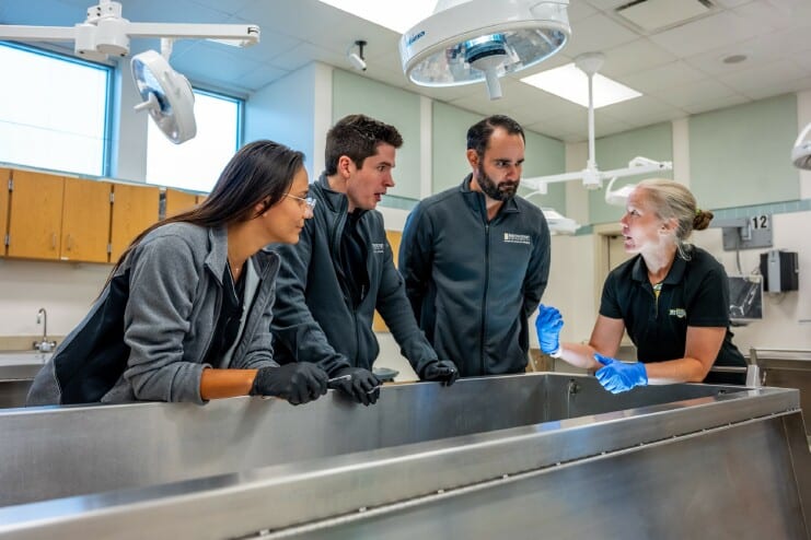 Dr. Greer Fisher works with students in the cadaver lab