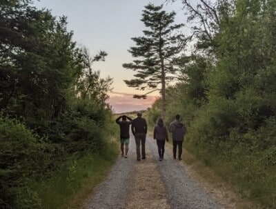Four people walking in the woods.