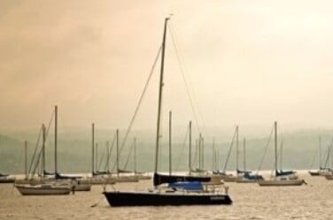 Sailboats Moored in the Harbor Photograph by Ann Murphy - Fine Art America