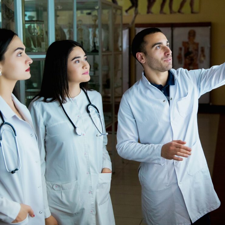 A Medical School professor consults with students