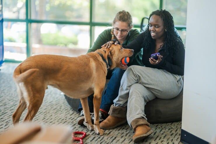 Students with a dog