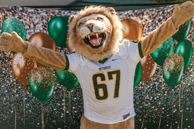 The mascot King