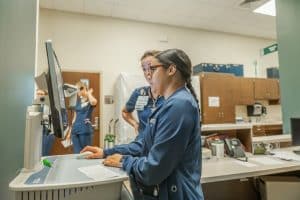 Nursing Students at work
